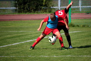 体育赛事志愿者管理及培训体系建设，体育赛事志愿者的工作要求