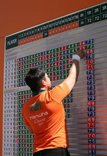 格鲁吉亚女篮在欧洲锦标赛中夺冠，崭露头角的佳绩队伍，格鲁吉亚参加过欧洲杯吗